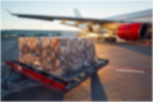 Cargositter Air Cargo